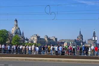 Steamboat parade on the Elbe