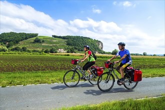 Elbe Cycle Route in Meissen