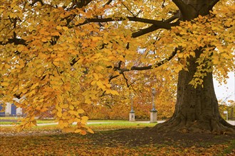 About 15 kilometres east of Dresden city centre, directly on the Elbe, lies Pillnitz Palace & Park,