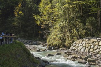 Mountain river Partnach, near the entrance to the Partnach Gorge, Wetterstein Mountains,