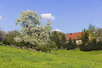 Rural area