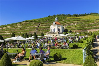 Wackerbarth Castle or Wackerbarths Ruh is a Baroque castle surrounded by vineyards in the