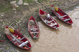 Little red wooden fishing boats on the shore of the Rio Paraná, Parana River near the city