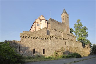 Castle built 1270 in Hirschhorn am Neckar, Neckar Valley, Odenwald, Hesse, Germany, Europe