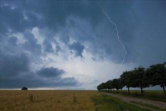 Thunderstorm near Dresden