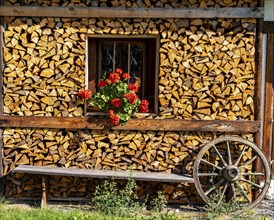 Wooden pile with flower deco, Going am Wilden Kaiser, Tyrol, Kufstein, Wilder Kaiser, Austria,