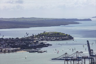 From the TV tower, Auckland, New Zealand, Oceania