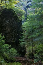 Schrammstein area in Saxon Switzerland