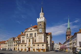 Löbau town hall