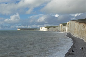 White Cliffs, Seven Sisters, Birling Gap, East Sussex, England, Great Britain