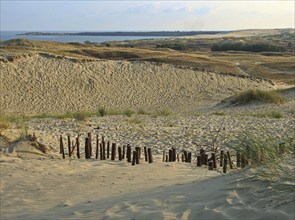 The Parnidis Dune in the Curonian Spit National Park is one of the largest shifting sand dunes in