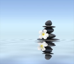 Zen spa concept background, Zen massage stones with frangipani plumeria flower in water reflection