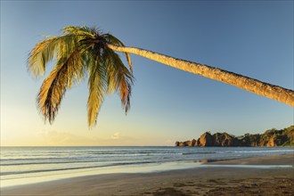 Playa Carillo, Peninsula de Nicoya, Guanacaste, Costa Rica, Central America