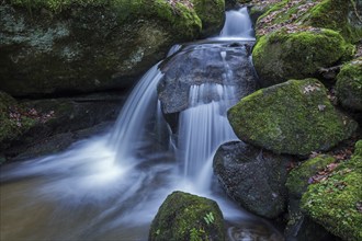 Gertelbach, Gertelbach Waterfalls, Gertelbach Falls, Gertelbach Gorge, Bühl, Bühlertal, Northern