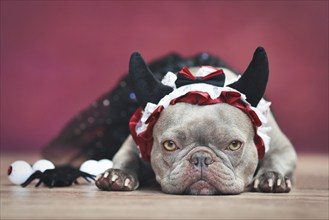 French Bulldog dog wearing red devil horn headband with ribbon and black tutu in front of red