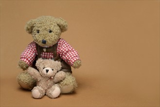 Two teddy bears, sitting, in front of a brown background, teddy