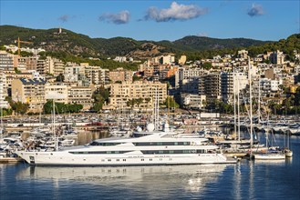 Marina of Palma De Mallorca, Spain, Europe