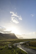 Morning atmosphere, view of sea and green meadows where sheep graze, Isle of Skye, Great Britain