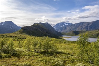 Barren mountain landscape with lake and birch trees, Knutshøe mountain and Leirungen nedre lake,