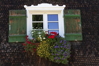 Window with geraniums on an old wooden house, Oberstdorf, Oberallgäu, Allgäu, Swabia, Bavaria,