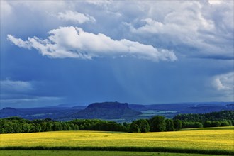 Summer landscape with the Lilienstein near Rathewalde in Saxon Switzerland