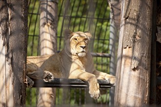 Dresden Zoo