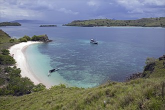 White sandy beach on the island Komodo in the Komodo National Park, Indonesia, Asia