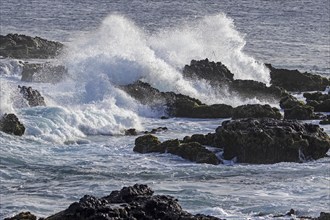 Waves breaking on volcanic rocks in the surf at the headland Ponta Temerosa on the island Santiago,