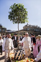 Return of the oranges from their winter quarters to the Dresden Zwinger