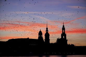 Dresden silhouette in the evening