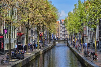 AMSTERDAM, NETHERLANDS, MAY 7, 2017: Amsterdam street with canal with old houses. Red lights