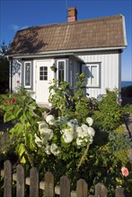 Wooden house with front garden in the small place, village, village, swedish, lovely, living,