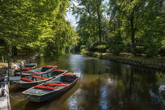 Paddle boats on the Boven Slinge, Winterswijk, Achterhoek, Gelderland, Netherlands