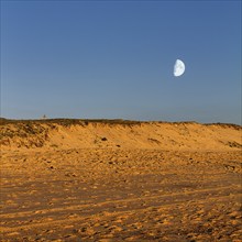 Coastline, dunes and beach at moonrise, Soustons Plage, Silver Coast, Côte dArgent, Atlantic Ocean,