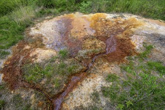 Mineral spring Minerálny pramen, Bešenová, Žilinský kraj, Slovakia, Europe