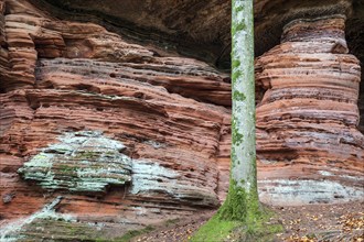 Old castle rock, red sandstone rock formation, natural and cultural monument, Brechenberg near