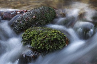 Gertelbach, Gertelbach Waterfalls, Gertelbach Falls, close-up, Gertelbach Gorge, Bühl, Bühlertal,