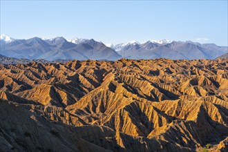 Landscape of eroded hills, white peaks of the Tien Shan Mountains in the background, Badlands,