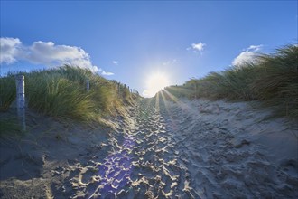 Beach access, sand dune, dune grass, wind, clouds, sun, morning, Zandvoort, North Sea, North