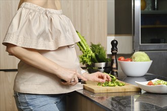 Closeup view of hands of pregnant unrecognizable woman standing in profile in the kitchen cutting