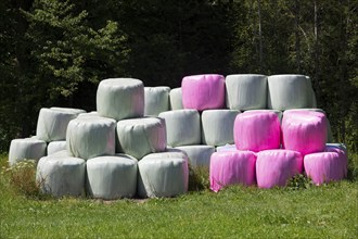 Colourful hay bales in the meadow near the village of Koppl, Osterhorngruppe, Flachgau, Land