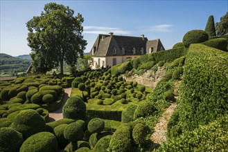 Boxwood garden, Les Jardins de Marqueyssac, Vezac, Dordogne, Périgord, Département Dordogne, Region