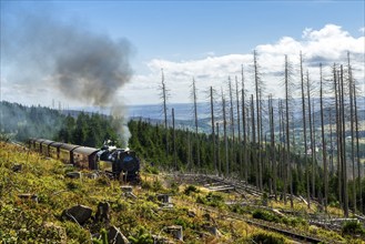 Railway at mountain Brocken, mountain range of Harz, Sachsen-Anhalt, Germany, Europe