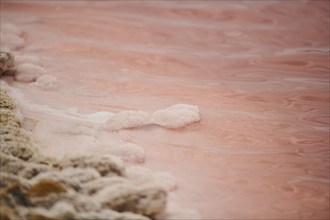 Salt crust at the waters edge of a little salt water pond for industrial salt production,