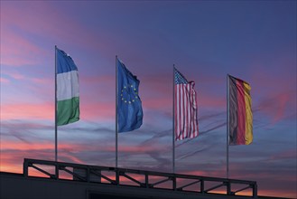 Waving flags in the evening sky, Rhineland-Palatinate, Germany, Europe