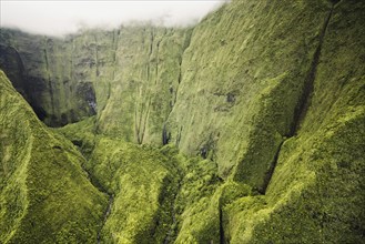 Aerial view Mount Wai'ale'ale, Kauai, Hawaii, USA, North America