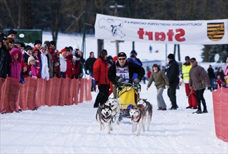 Sled dog race in Nassau Erzgeb