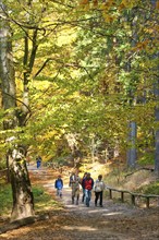 Hikers in the Schrammstein area in the back of Saxon Switzerland