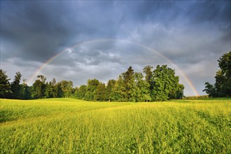 Evening thunderstorm atmosphere with double rainbow over lush green mixed forest, in the Zurich