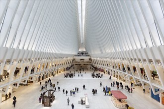 World Trade Centre WTC Oculus modern architecture by Santiago Calatrava in New York, USA, North